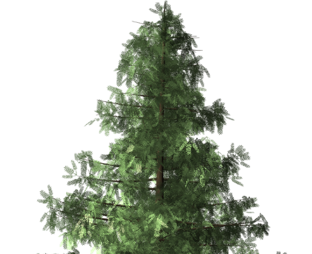 Christbaum
